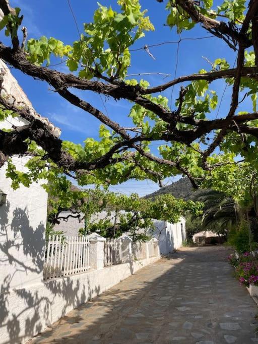 Real Fundicion De Alcora Villa Canjayar Luaran gambar