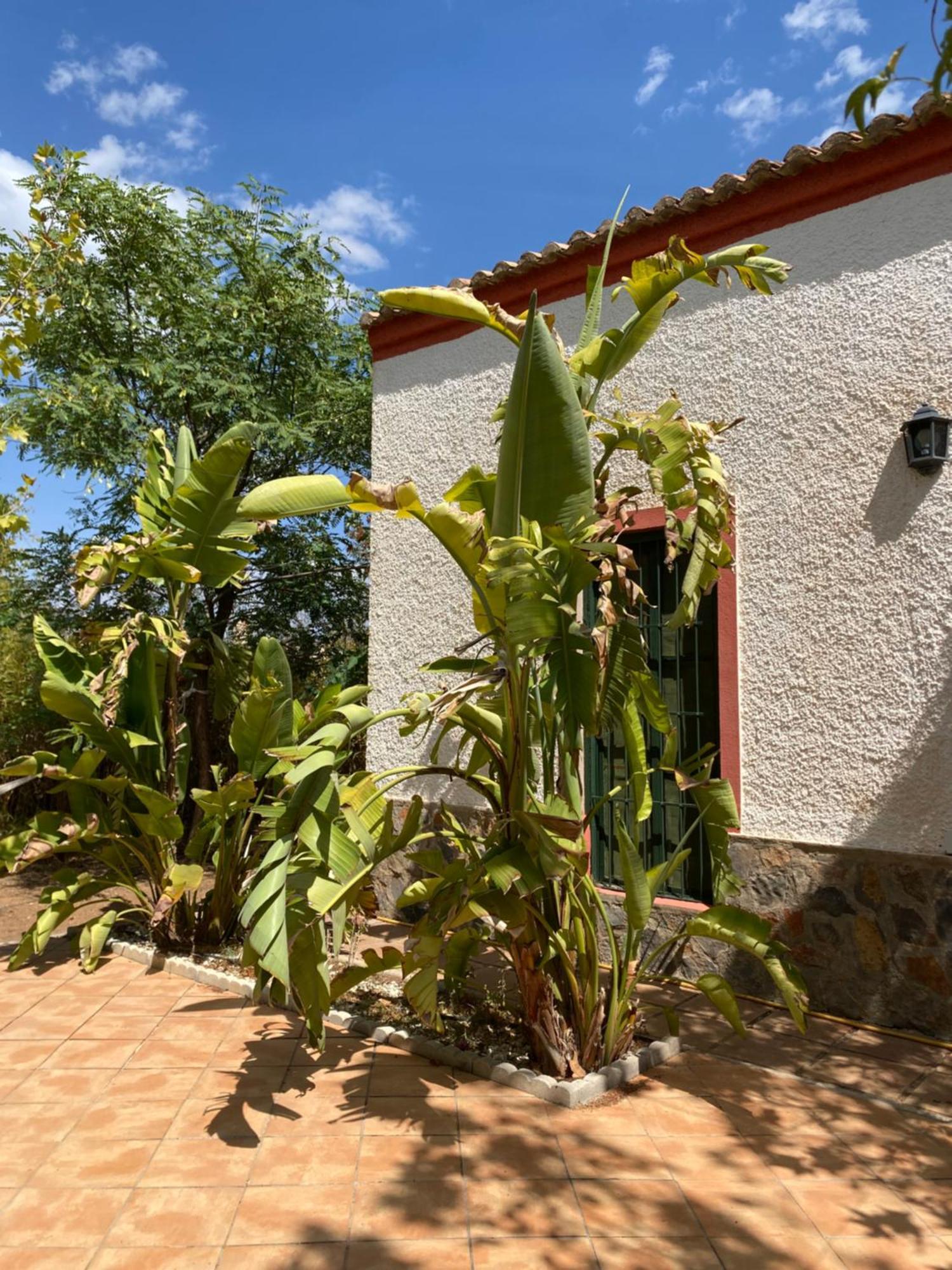 Real Fundicion De Alcora Villa Canjayar Luaran gambar